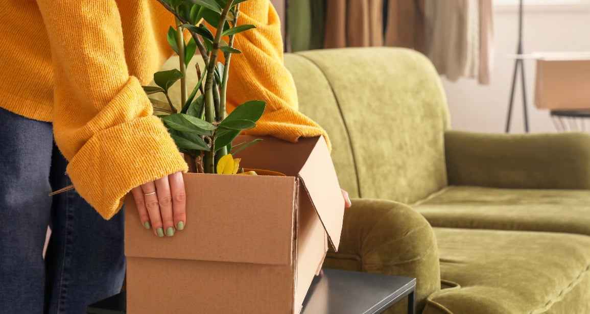 Moving Houseplants Eloor