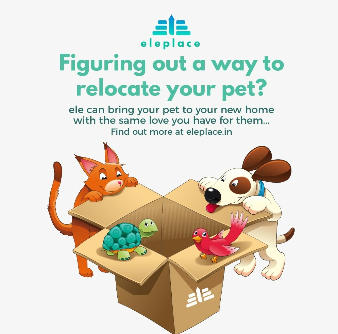 pet relocation services
